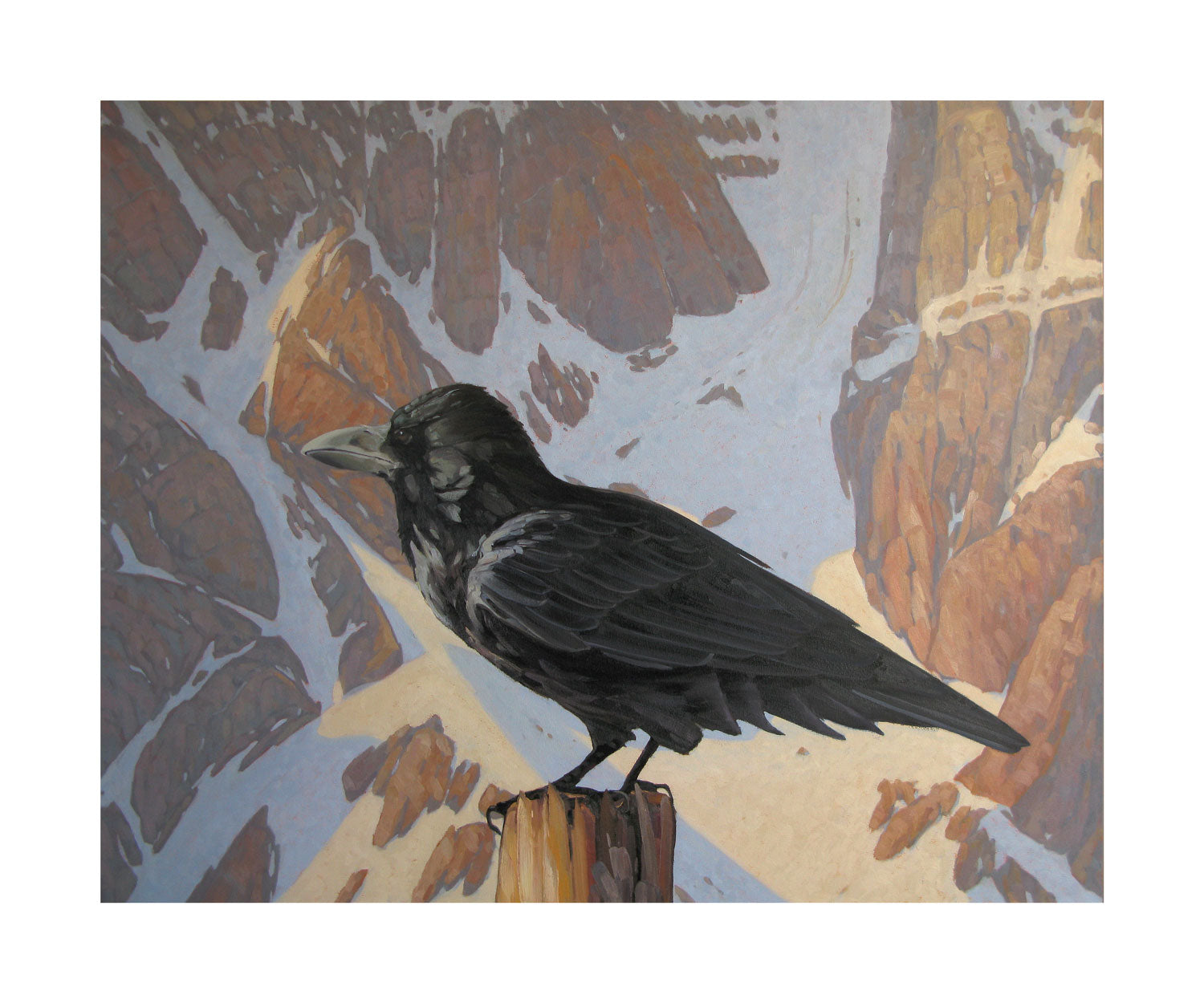 Raven