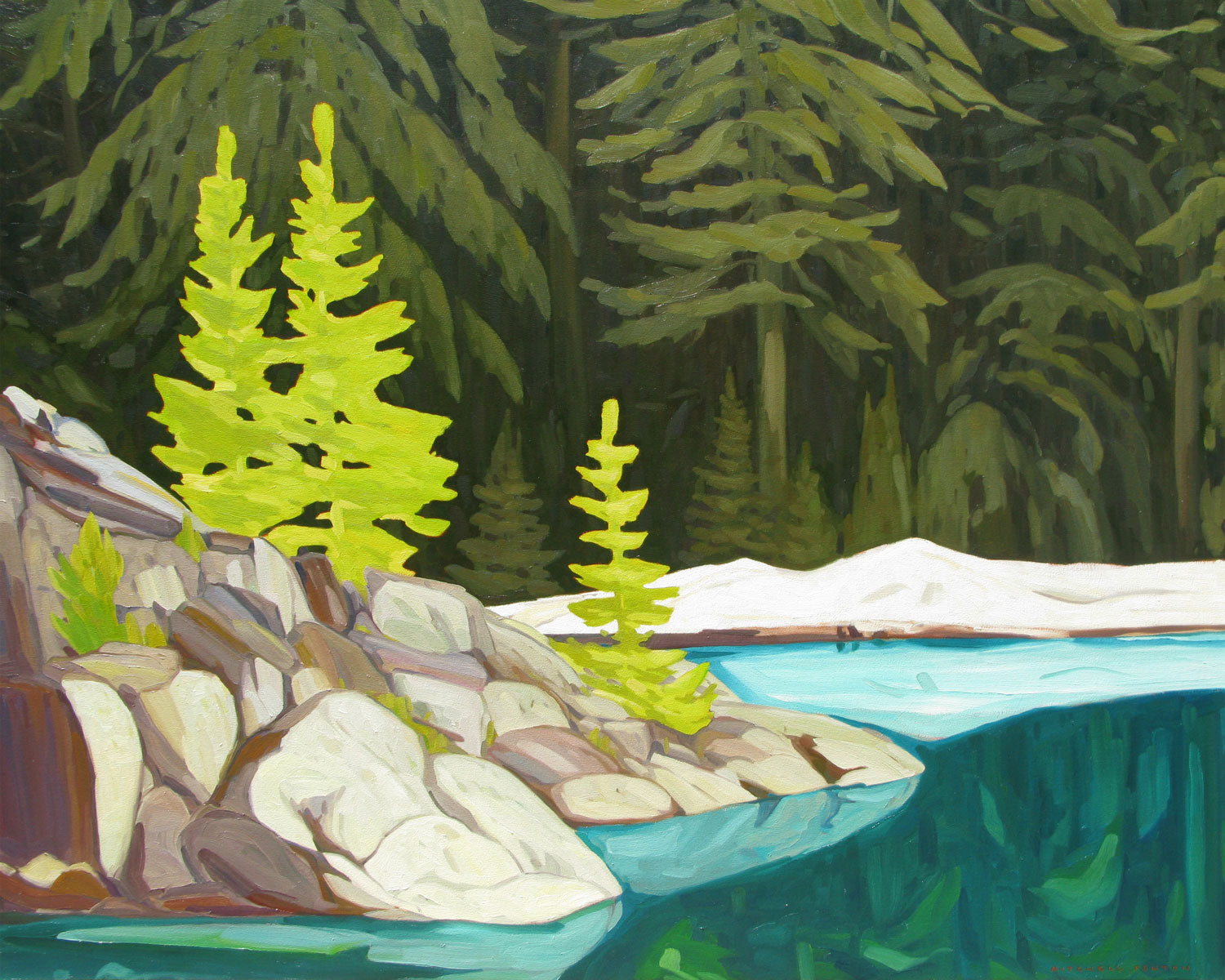 Lake O'Hara Trees
