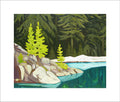 Lake O'Hara Trees