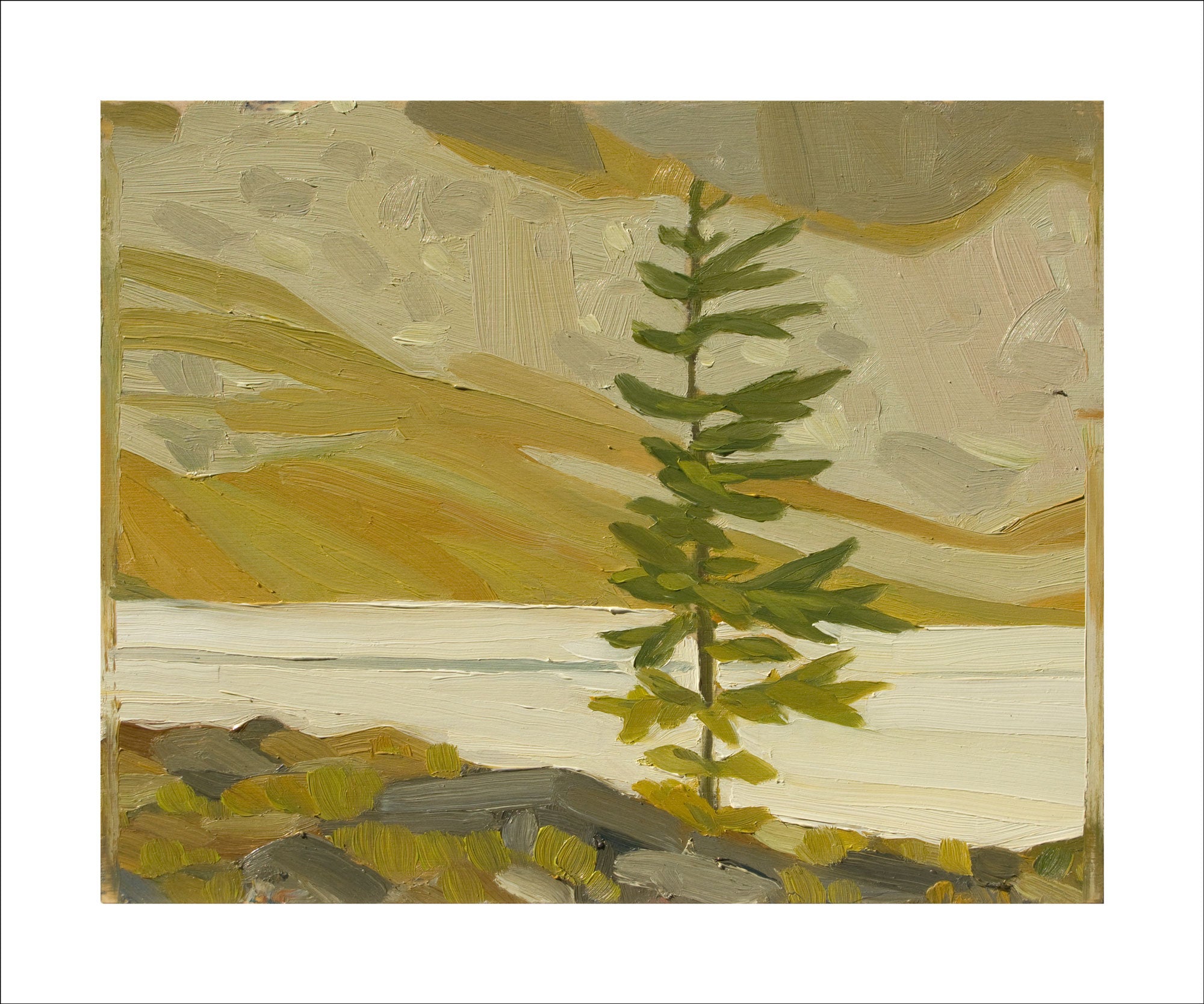 Larch Opabin Plateau