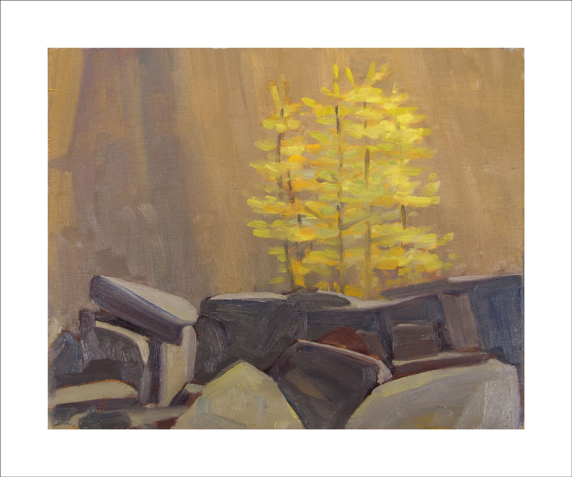 Larches on the East Opabin