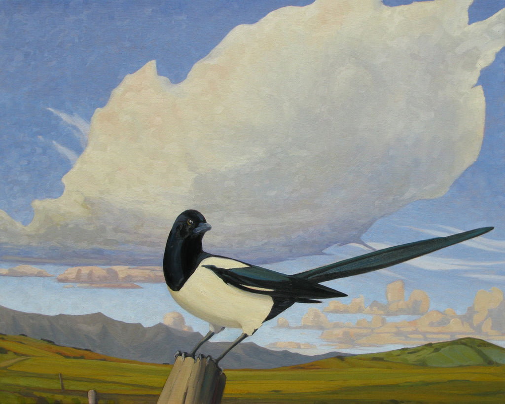 Magpie 2013