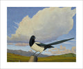 Magpie 2013
