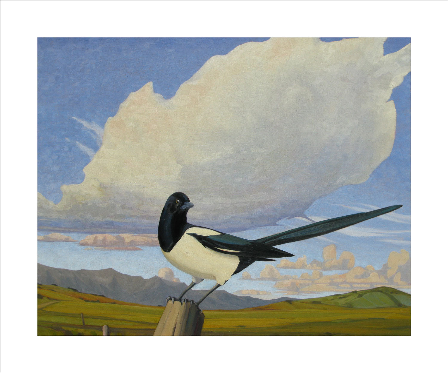 Magpie 2013