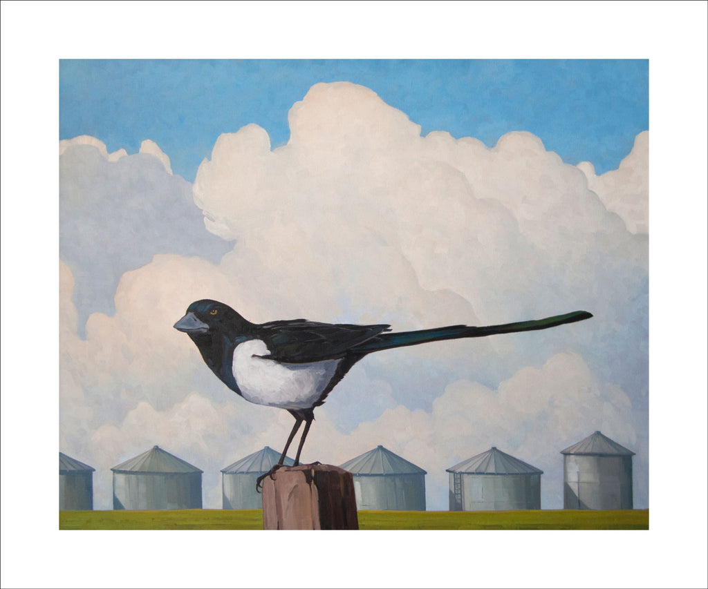 Magpie 2014