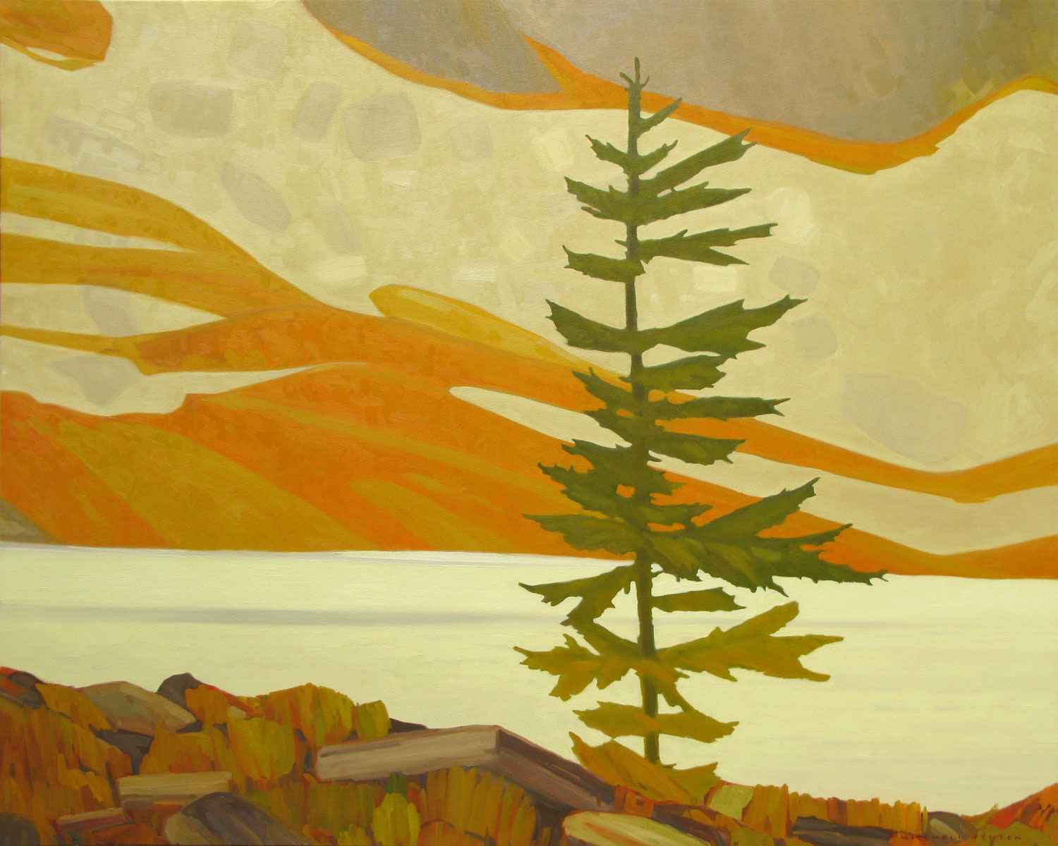 Tree on the Opabin Plateau