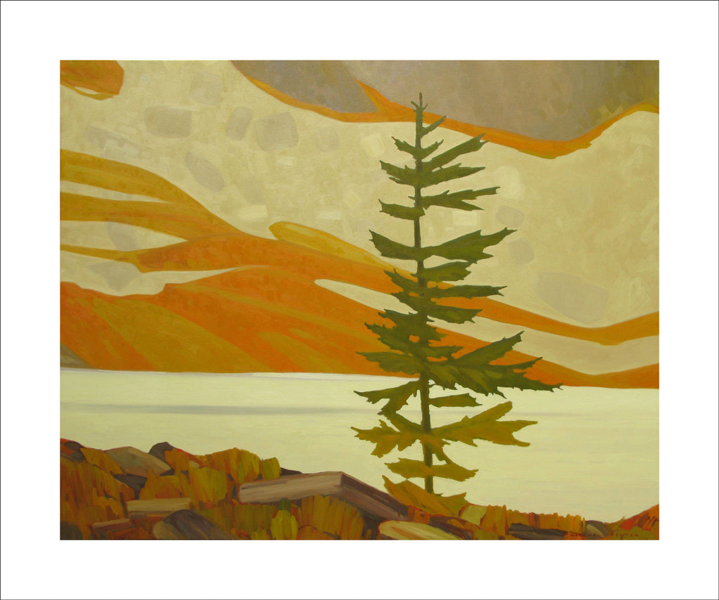 Tree on the Opabin Plateau