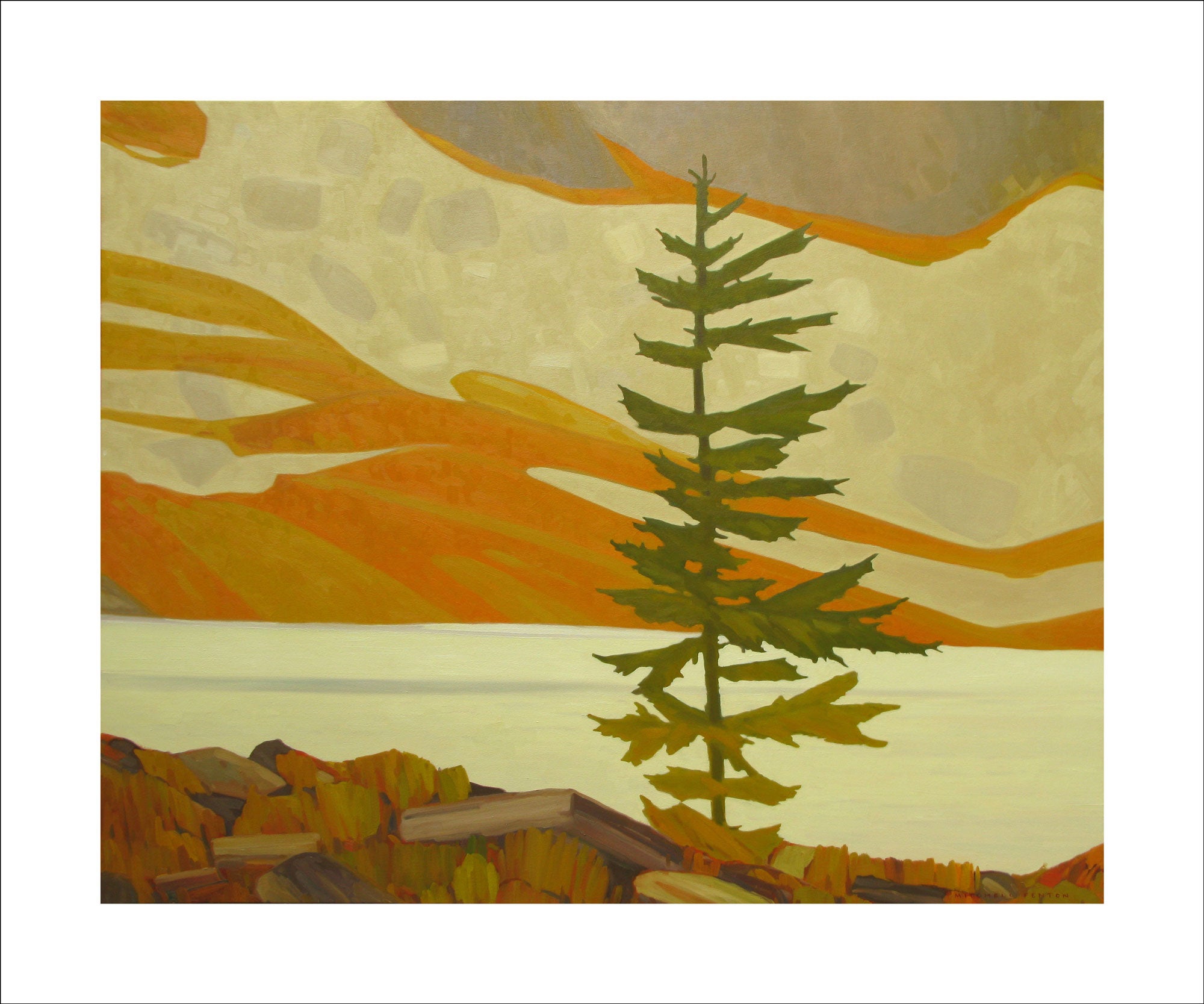 Tree on the Opabin Plateau