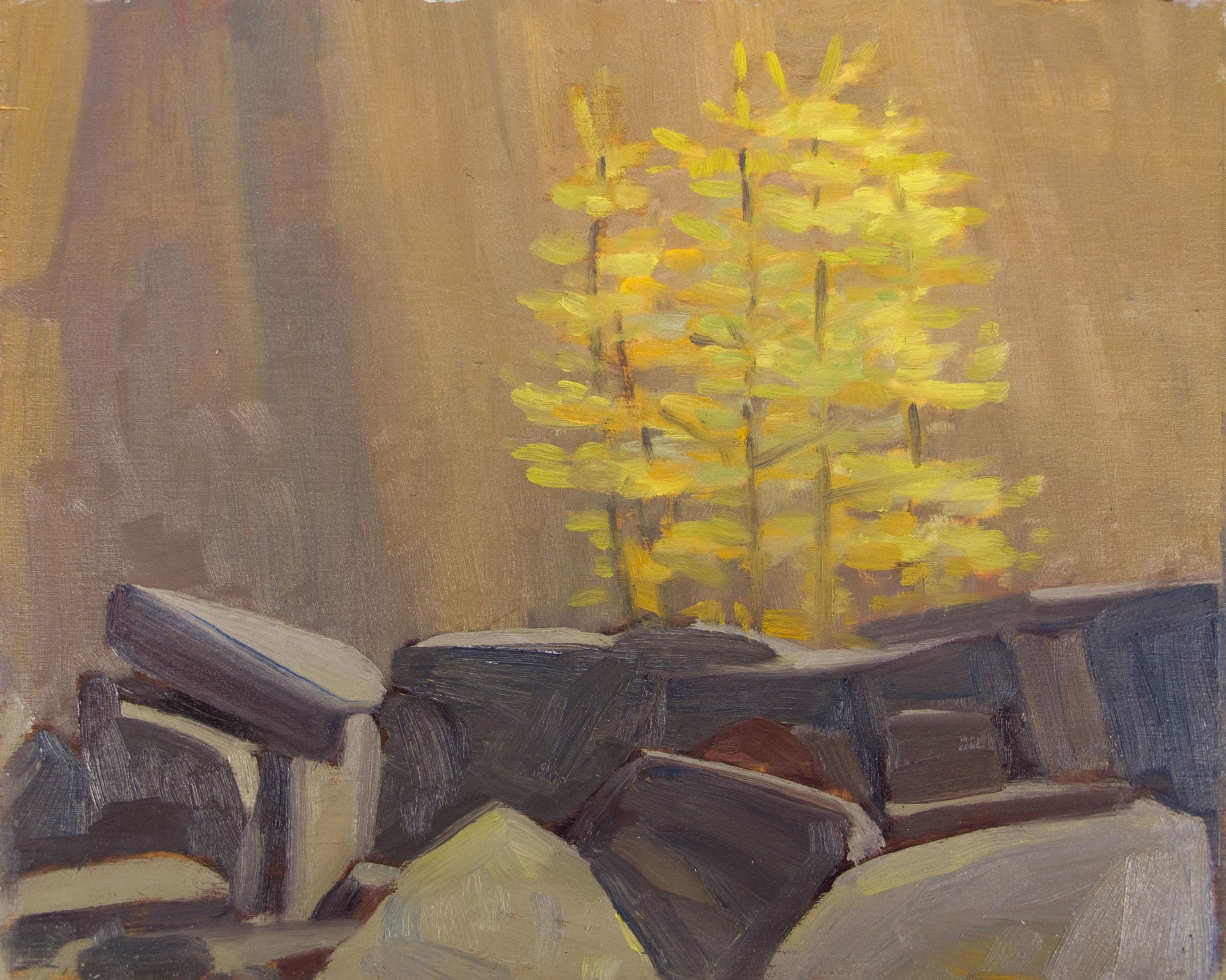 Larches on the East Opabin