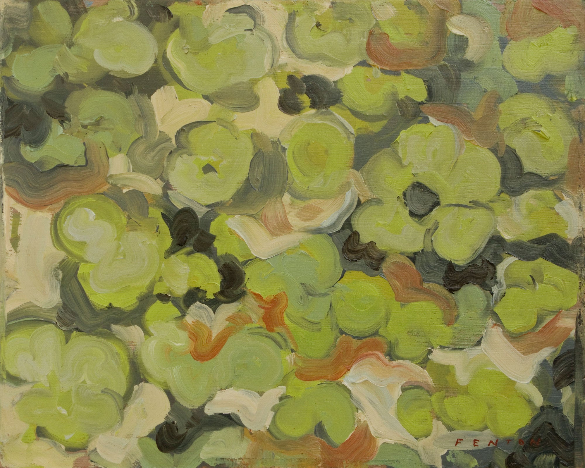 Lichen