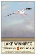 Pelican - Lake Winnipeg Poster