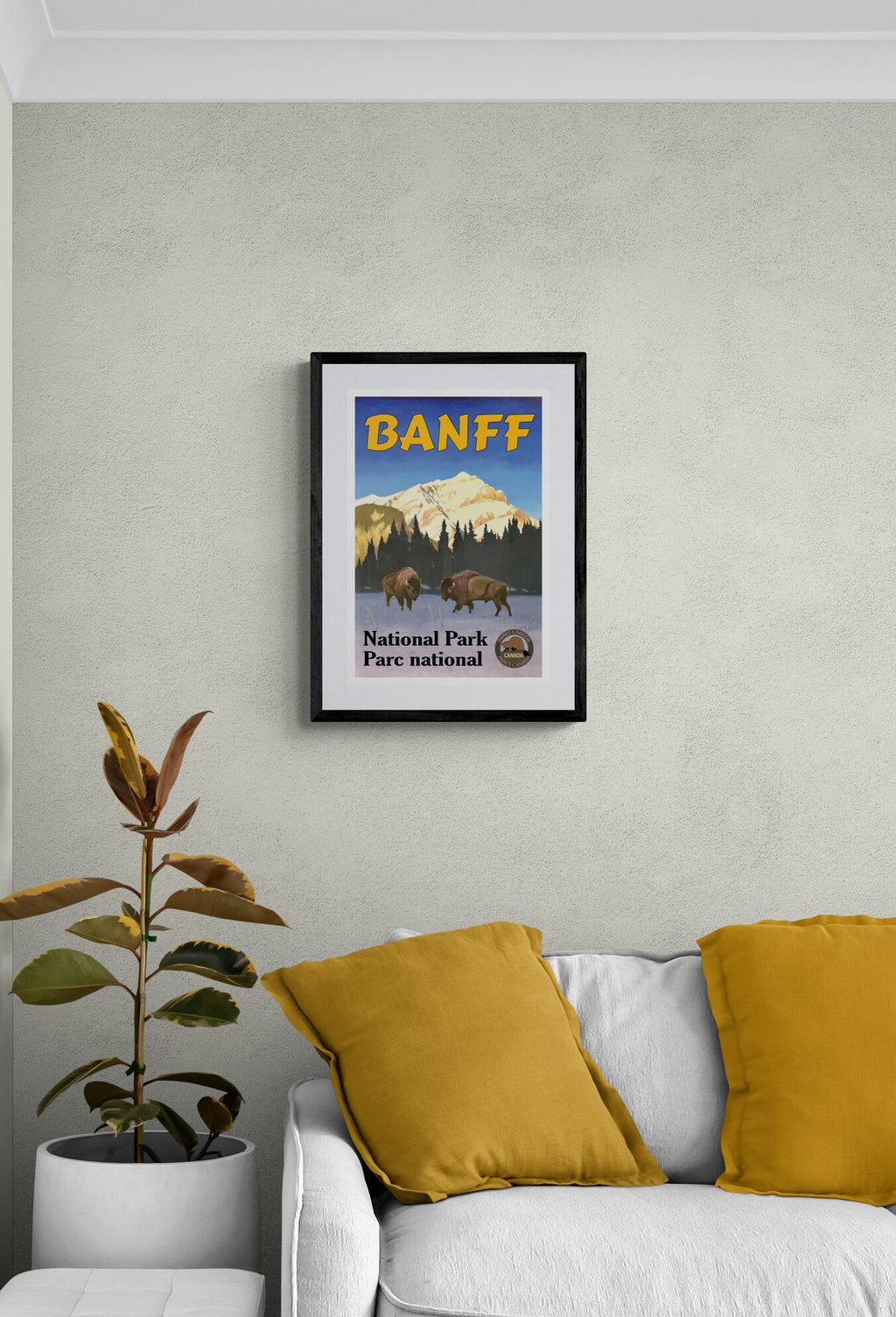 Bison - Banff National Park Poster
