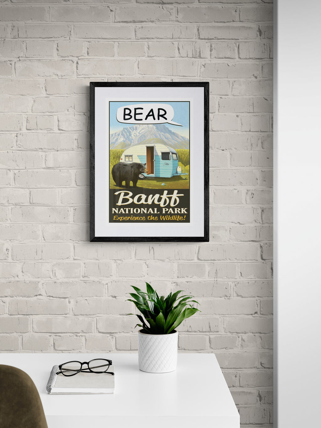 Bear - Banff National Park Poster