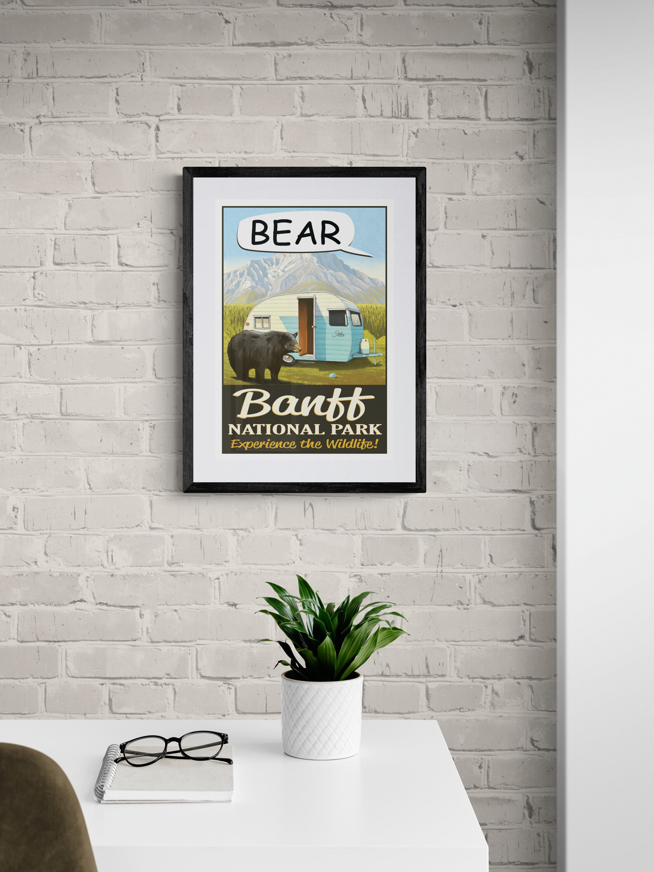 Bear - Banff National Park Poster