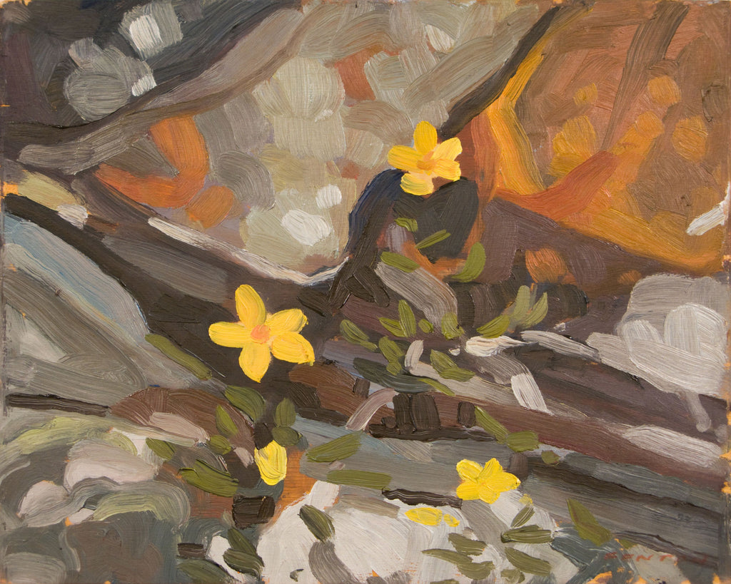 Lake O'Hara Widlflowers