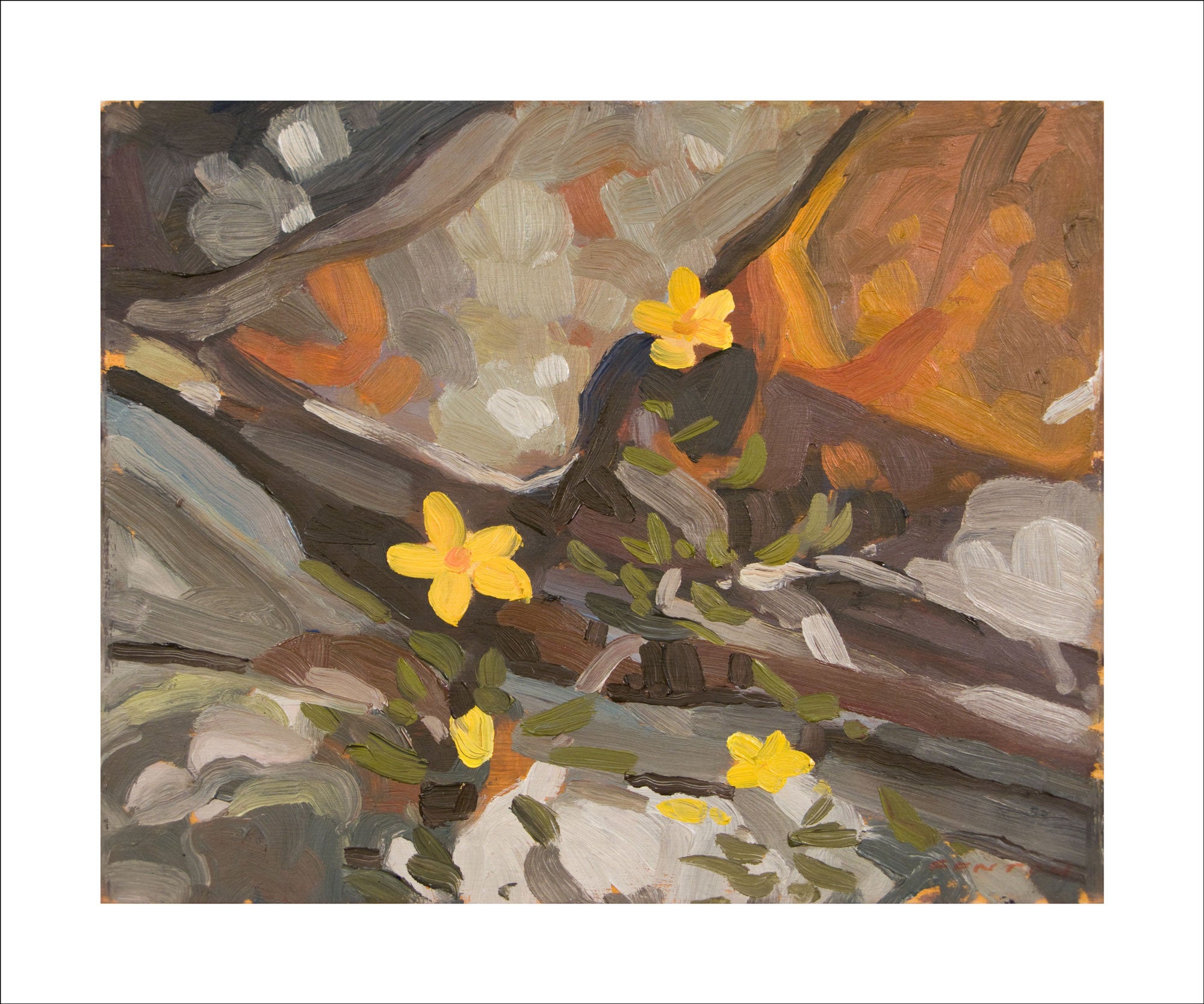 Lake O'Hara Widlflowers