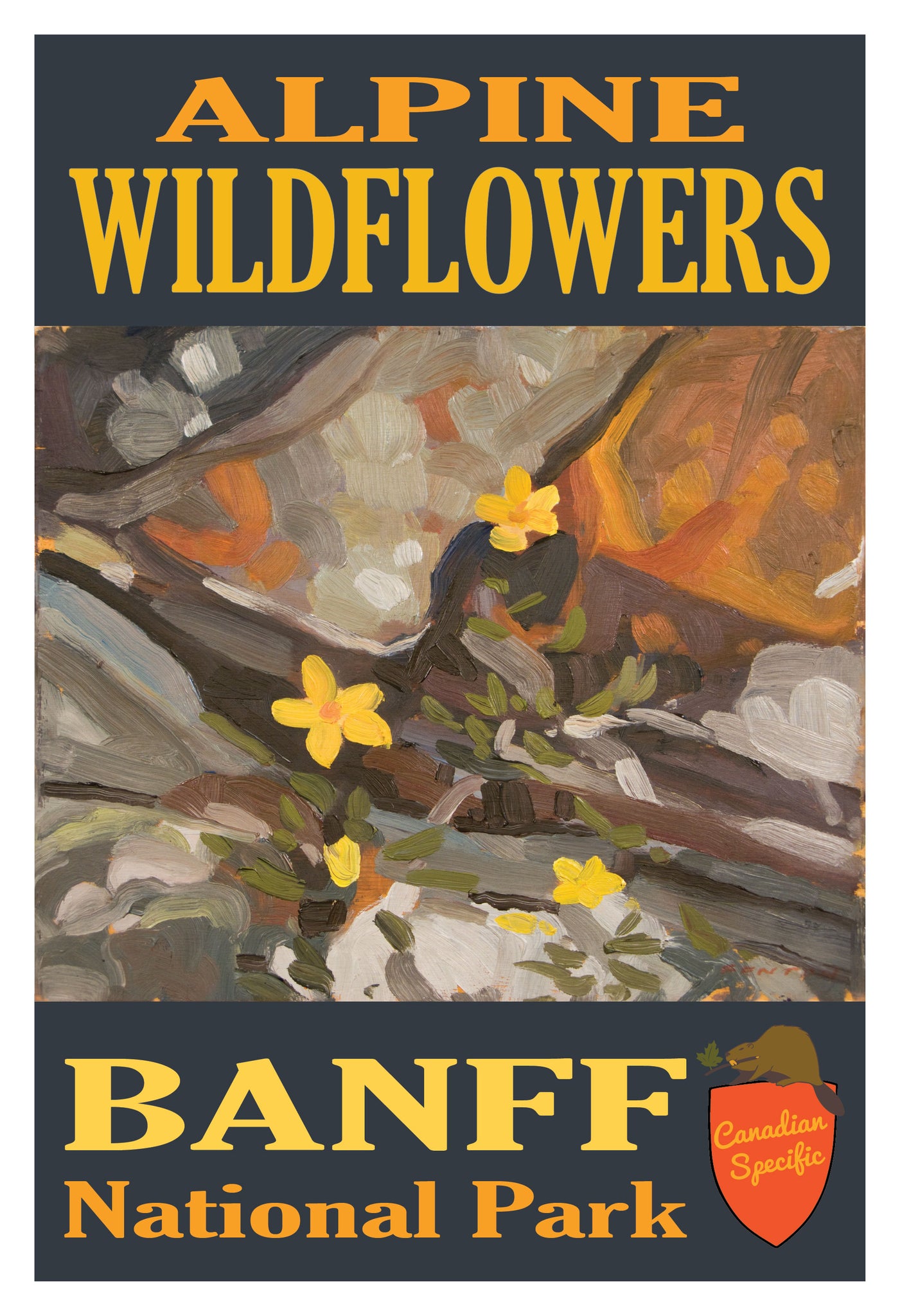 Alpine Wildflowers<br>Banff National Park