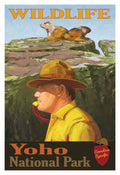 Wildlife - Yoho National Park Poster